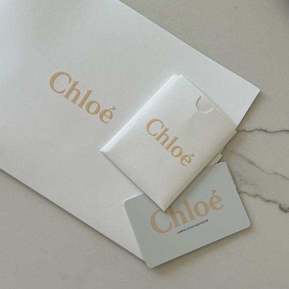 Chloe Faye mini backpack in Sienna - Picture 5 of 5